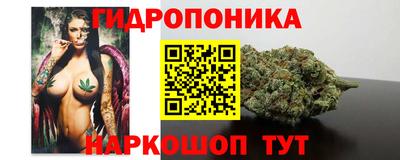 дмт Тула