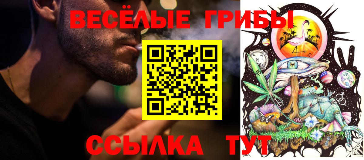 Псилоцибиновые грибы мицелий Богданович