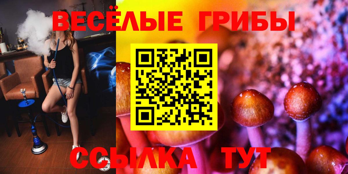 Псилоцибиновые грибы Psilocybe  Вход с VPN  Богданович 